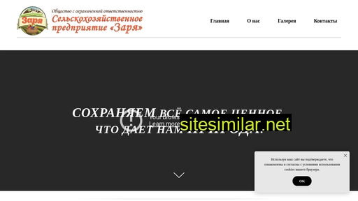ooospzarya.ru alternative sites