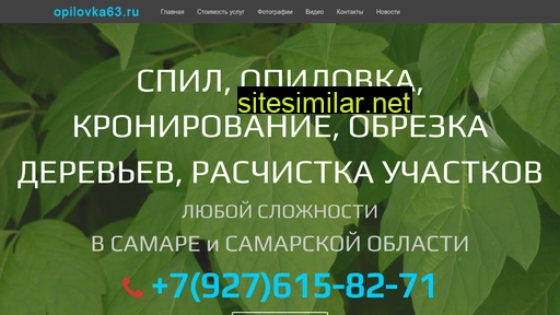 opilovka63.ru alternative sites
