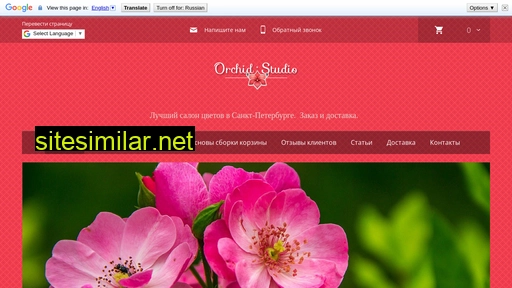 Orchid-studio similar sites