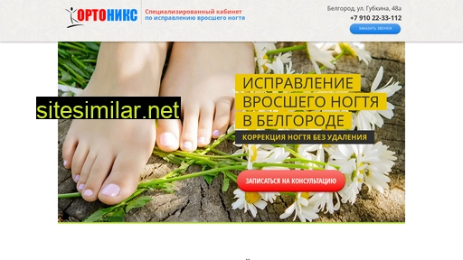 ortonix.ru alternative sites