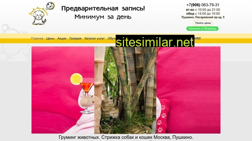 panda-pets.ru alternative sites