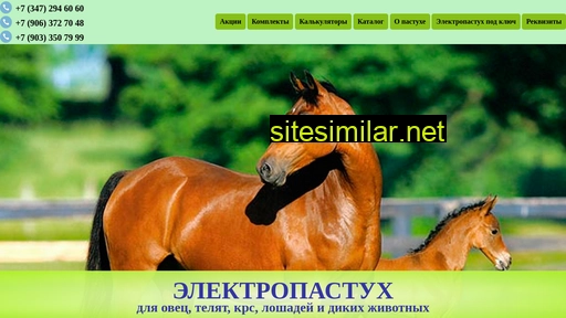 pastuch.ru alternative sites