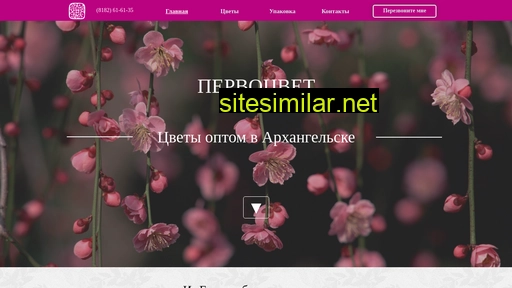 pervocvet-opt.ru alternative sites