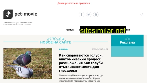 pet-movie.ru alternative sites