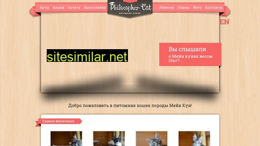 philosophercat.ru alternative sites