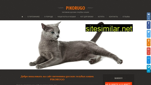 Pikorugo similar sites