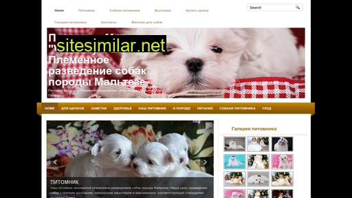 pitomnik-maltese.ru alternative sites