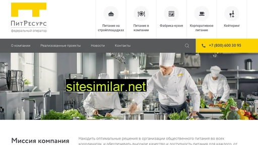 pitresurs.ru alternative sites