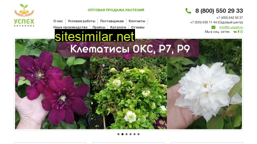 p-uspeh.ru alternative sites