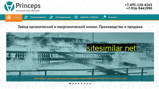 princeps1.ru alternative sites
