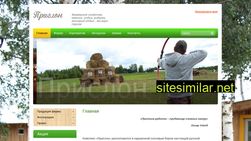 prislon.ru alternative sites