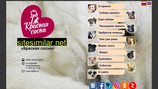 priut-ks.ru alternative sites