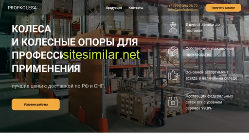 profkolesa.ru alternative sites