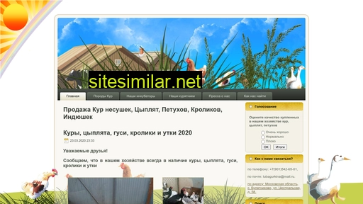 ptency.ru alternative sites