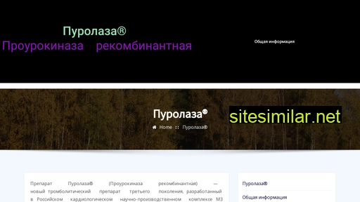 purolaza.ru alternative sites