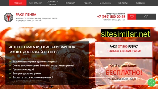 raki-penza.ru alternative sites