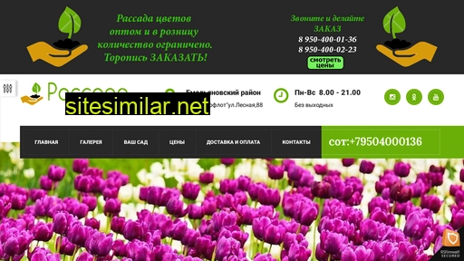rassada-krsk.ru alternative sites