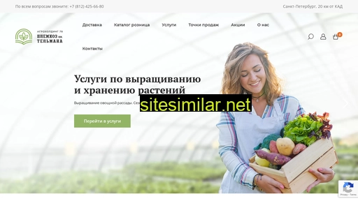 rassada-telmana.ru alternative sites