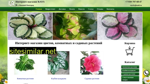 raysflowers.ru alternative sites