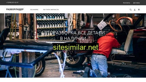 razborleader.ru alternative sites