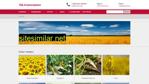 rd-servis.ru alternative sites
