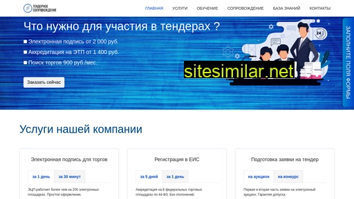 remote-tender.ru alternative sites
