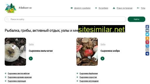 ribdozor.ru alternative sites