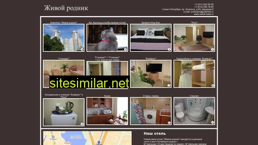 rodnikhotel.ru alternative sites