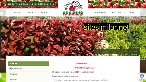 rosinka-ntsk.ru alternative sites