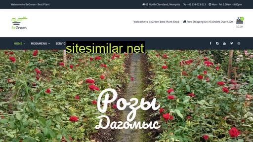Roza-dagomys similar sites