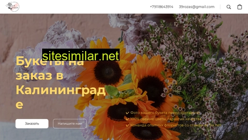 rozas39.ru alternative sites