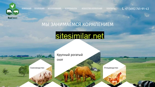 rusfeed.ru alternative sites