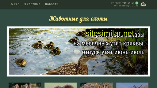 rus-hunters.ru alternative sites