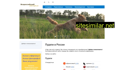 ruspoodle.ru alternative sites