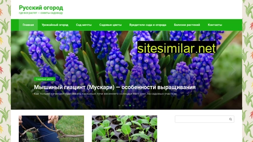 russianogorod.ru alternative sites