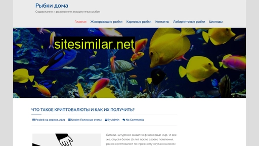 rybkidoma.ru alternative sites