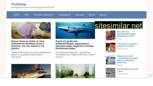 rybolov-orlov.ru alternative sites