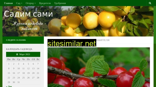 sadimsami.ru alternative sites