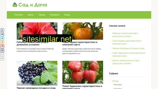 sad-i-dacha.ru alternative sites