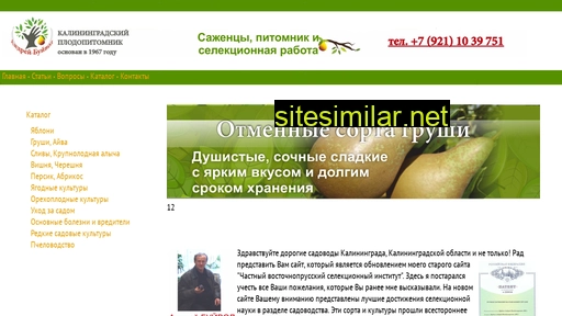 sad-kaliningrad.ru alternative sites