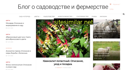 samfermer.ru alternative sites