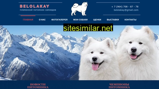 samoed.ru alternative sites