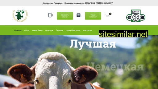 samplemcenter.ru alternative sites