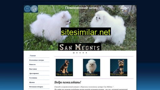sanmednis.ru alternative sites
