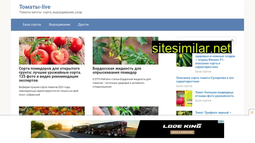 sarapul-live.ru alternative sites