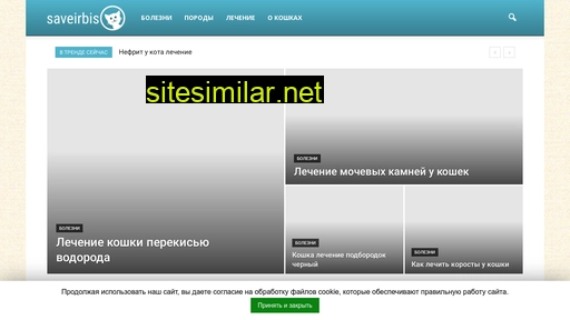 saveirbis.ru alternative sites