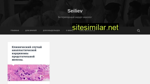 seiliev.ru alternative sites