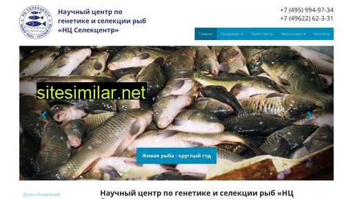 selekcentr.ru alternative sites