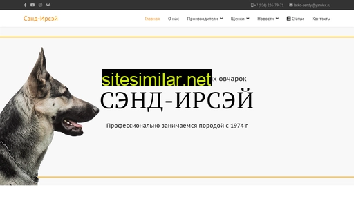 sendirsey.ru alternative sites