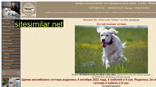 setterclub.ru alternative sites